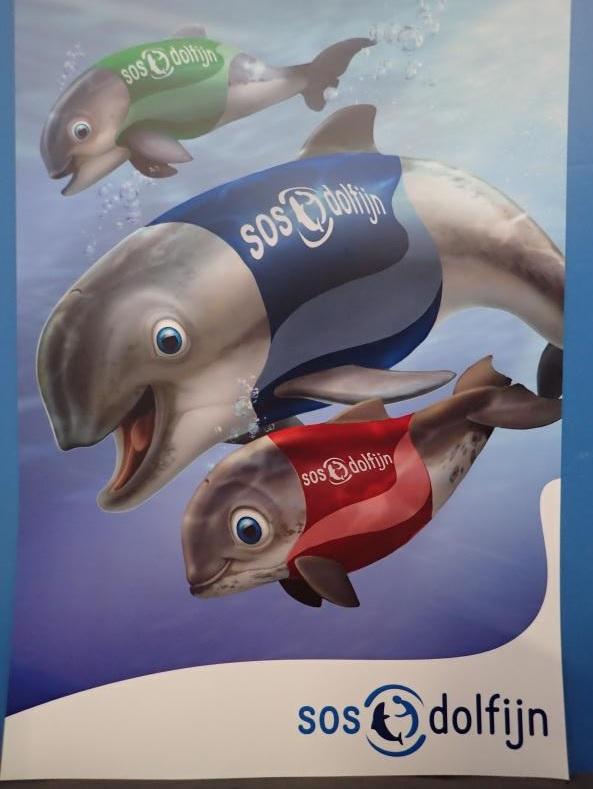 Poster bruinvissenfamilie