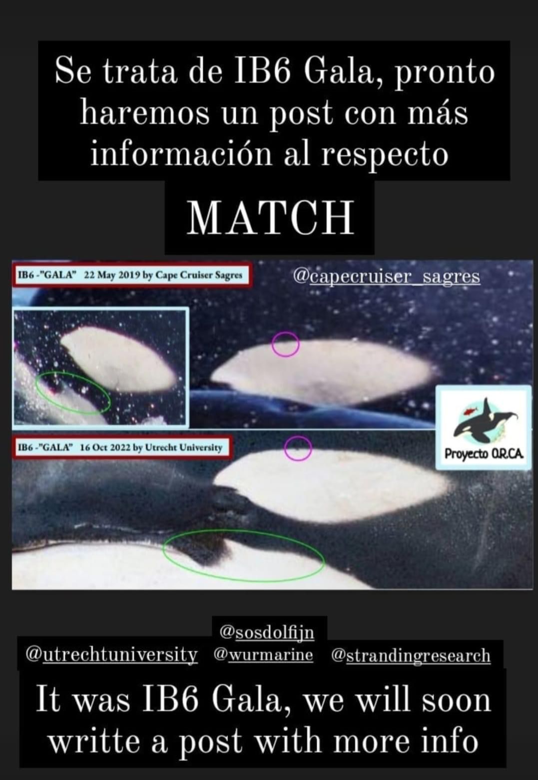 Match gevonden in orka identificatie