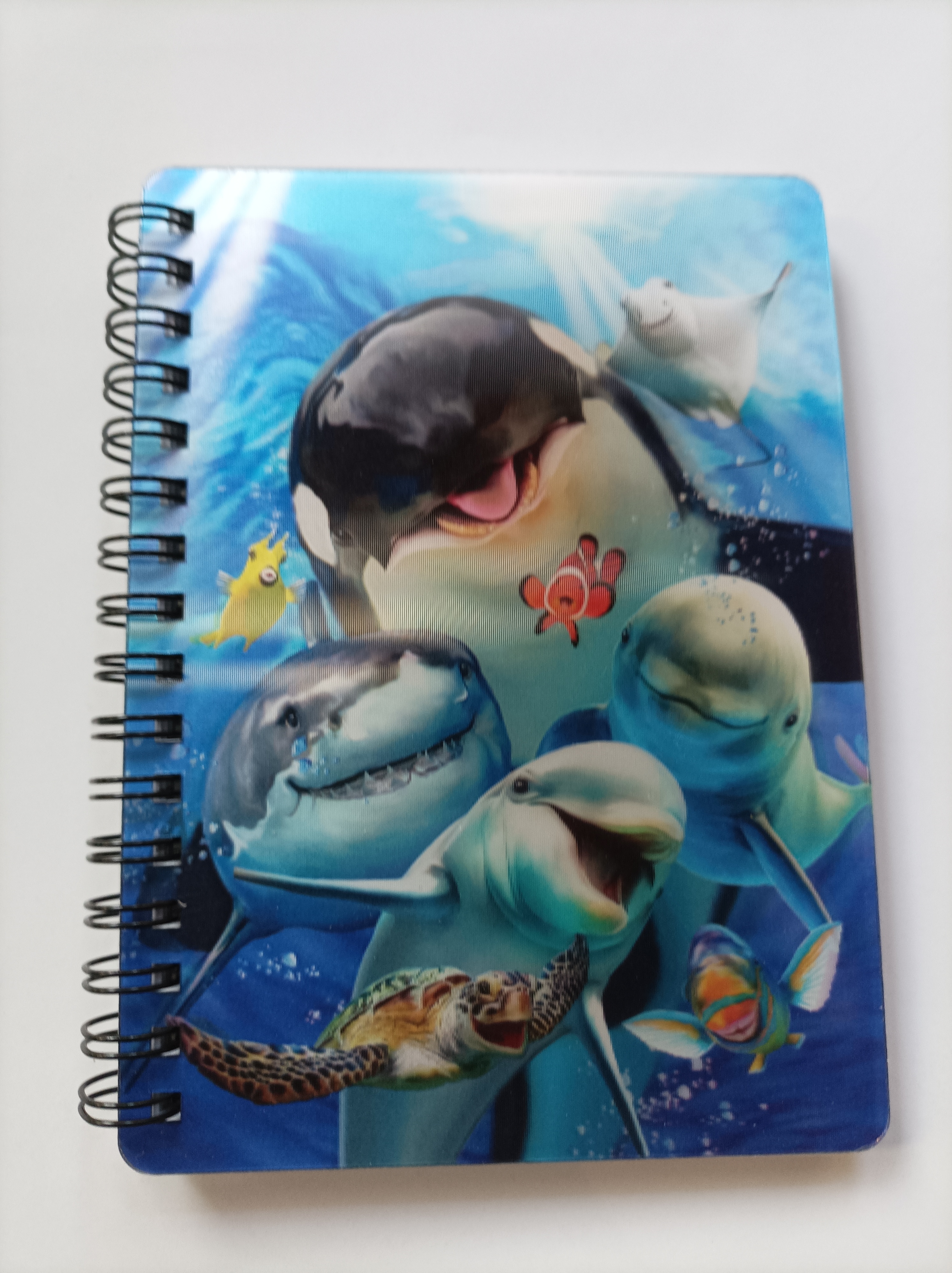 Notebook ocean selfie