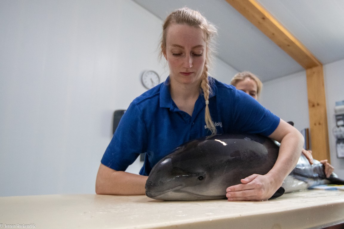 Rianne Roelofs, medewerker dierzorg