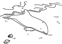gestrande bruinvis afbeelding