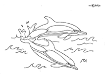 zwemmende dolfijnen afbeelding